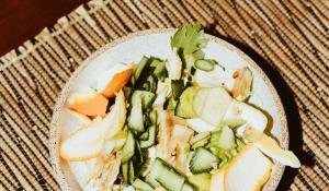 vegetable food scraps for indoor worm composter 