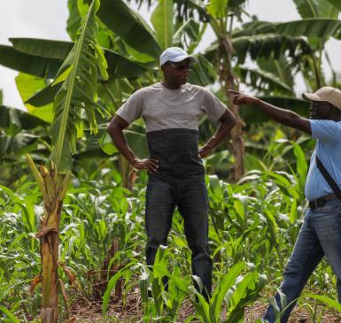 Kofi Boa on his farm 