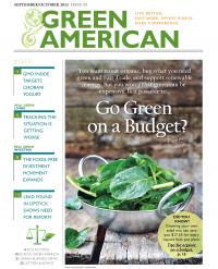 Go green on a budget cover