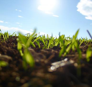 soil superheroes cover