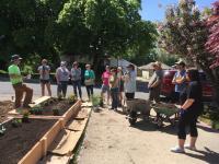 Group of volunteers around garden beds