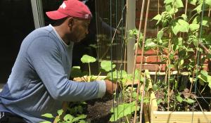 Image: Monique's father in his garden. Title: Finding Hope for Climate in My Parents' Garden