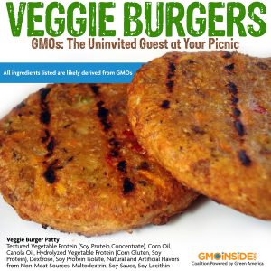 VeggieBurgerIBreakdown_1a-300x300.jpg
