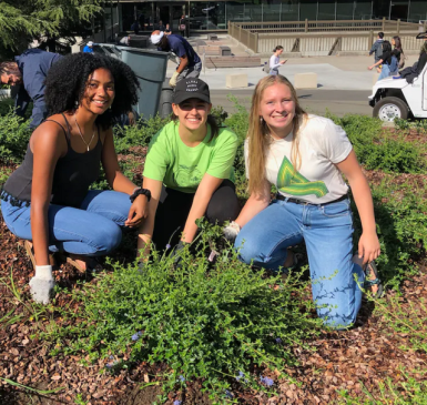 re.wild Your Campus Ambassadors creating regenerative spaces on their campus.
