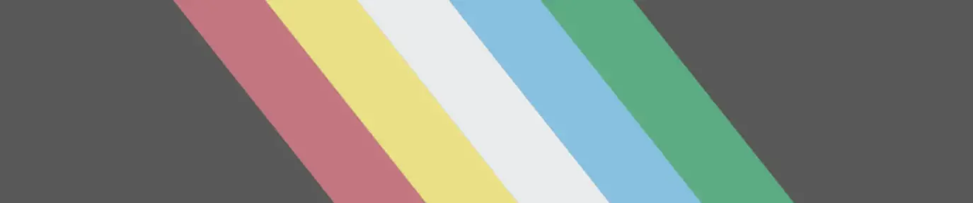 Disability Pride flag, which is dark gray with stripes in red, yellow, white, blue, and green.