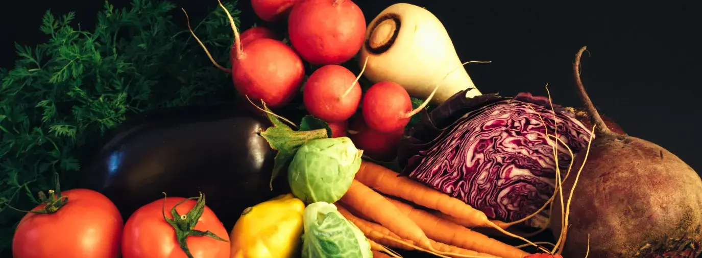 A still life of red radishes, red tomatoes, a shiny eggplant, leafy greens, crunch purple cabbage, an unpeeled beet, a fresh turnup, a bunch of carrots, a tiny yellow squash, and hearty green Brussels sprouts.